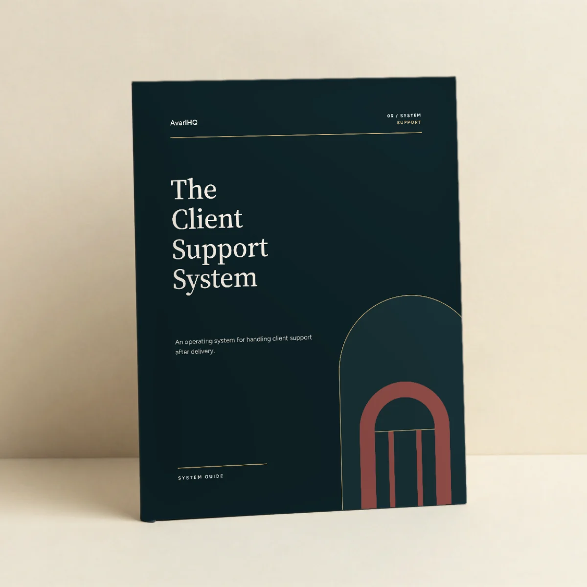 The Client Support System System Guide cover.